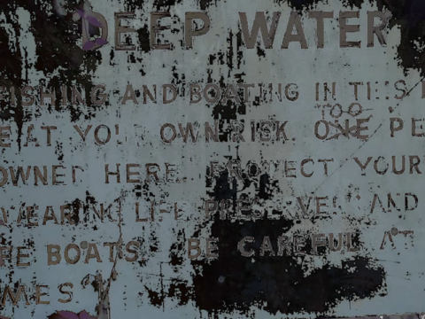 Tales from the Psychedelic Swamp