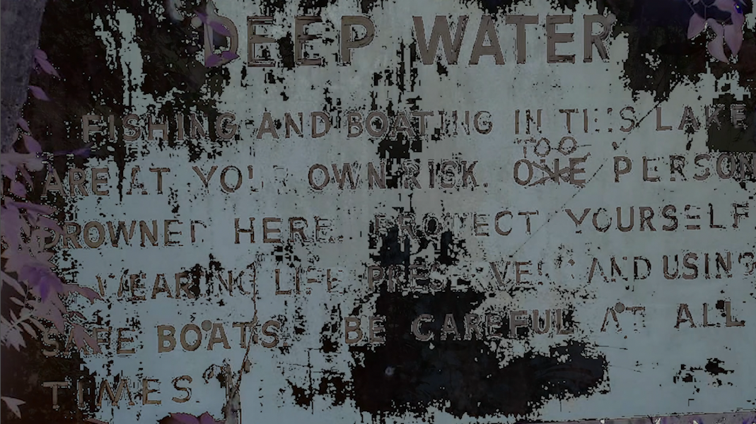 Tales from the Psychedelic Swamp